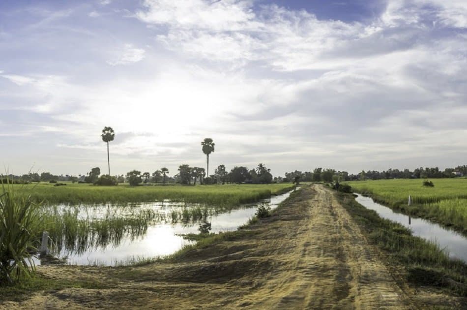 Half Day in Siem Reap With Quadbike