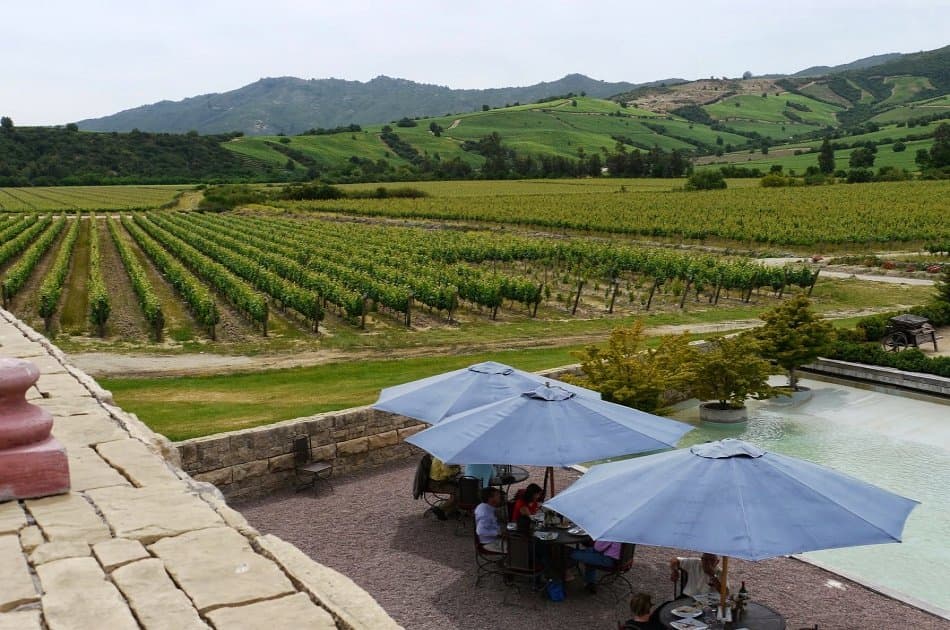 Colchagua Valley and Its Wines