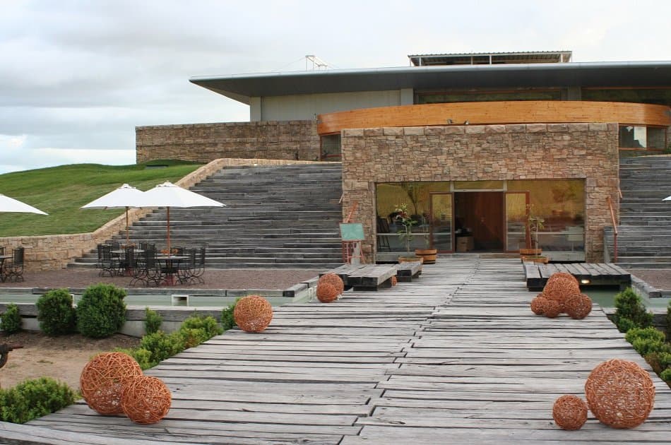 Colchagua Valley and Its Wines