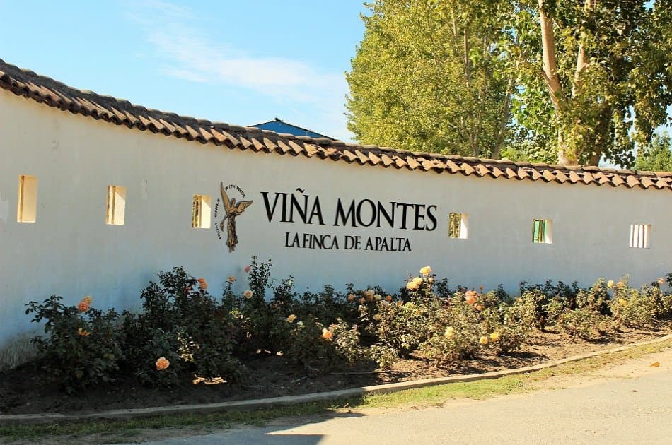 Colchagua Valley and Its Wines