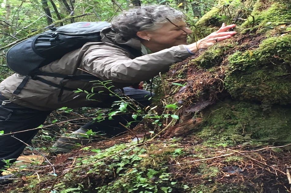 Solitario Hike Volcan Osorno Petrohue Falls