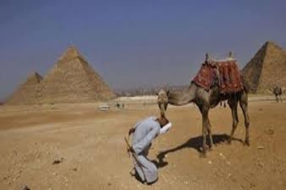 Half Day Pyramids Guided tour