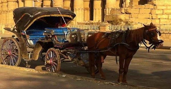 Luxor Private City Tour By Horse &amp; Carriage