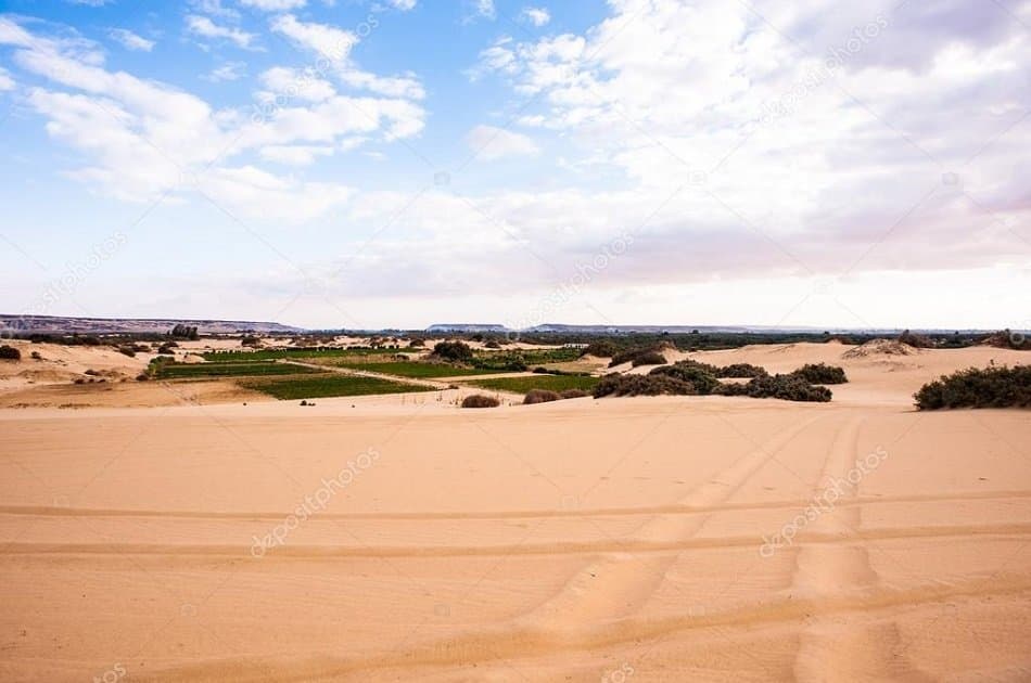 Overnight in White Desert &amp; Bahariya Oasis