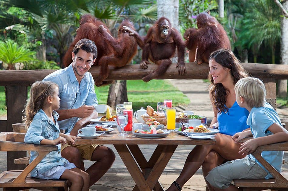 Bali Animals Lover Day Tours