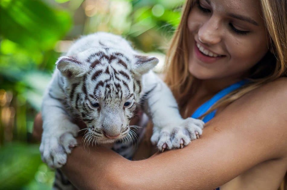 Bali Animals Lover Day Tours