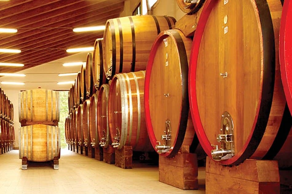 Etna Wine Tasting Tour From Messina