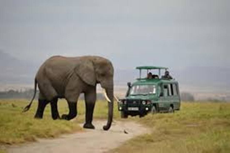 1 Day Mombasa to Tsavo East Safari