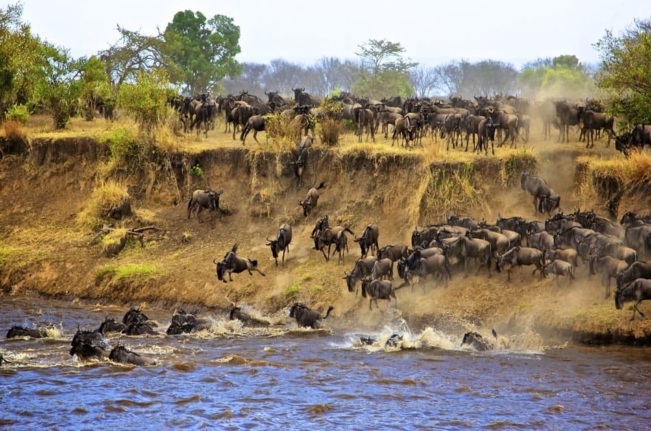 3 Day Maasai Mara Budget Safari