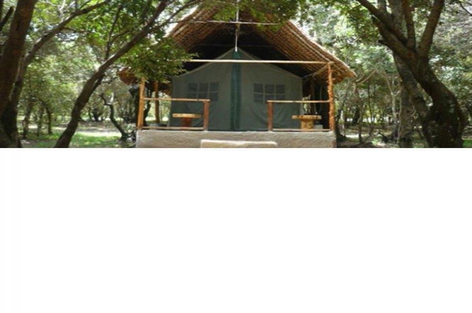 6 Days of Adventure on Kenya Camping Safari