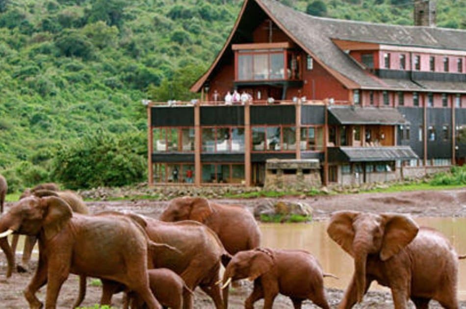 Kenya Migration Lodge  Safari