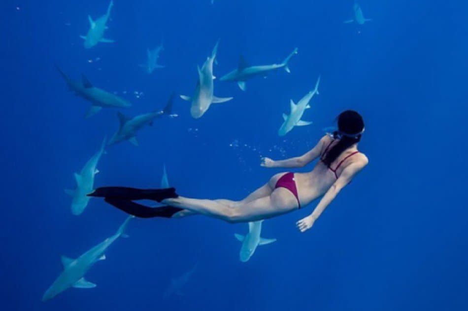 4 Hour Catamaran SB Tour (up to 40 people)