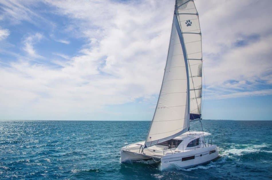 4 Hour Private Catamaran SB Tour ( up to 45 people)