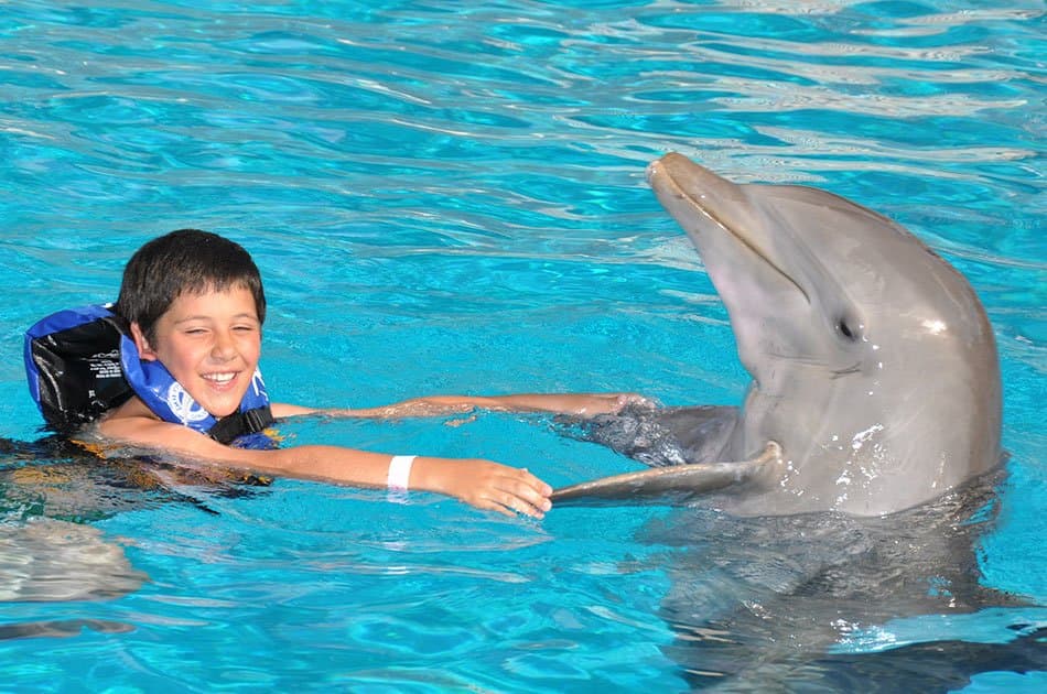 Dolphin Swim Adventure in Isla Mujeres