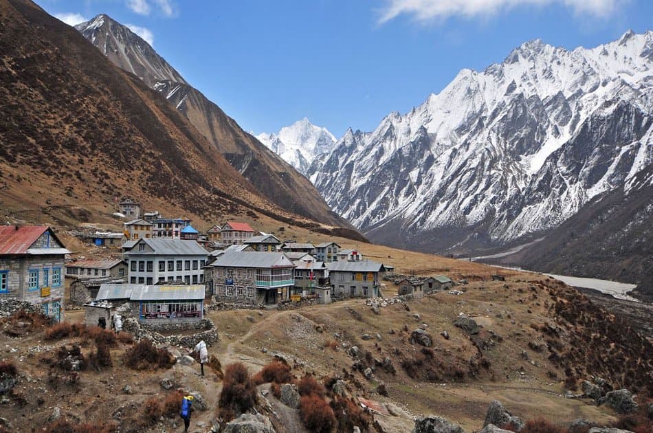10 Day Langtang Valley Trek
