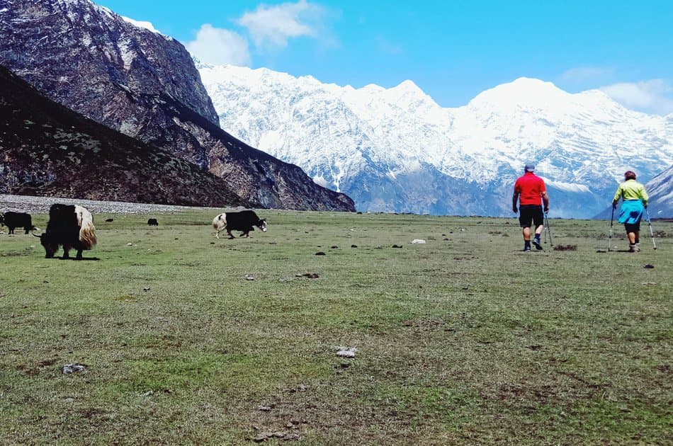 14 Day Manaslu Circuit Trek Tour