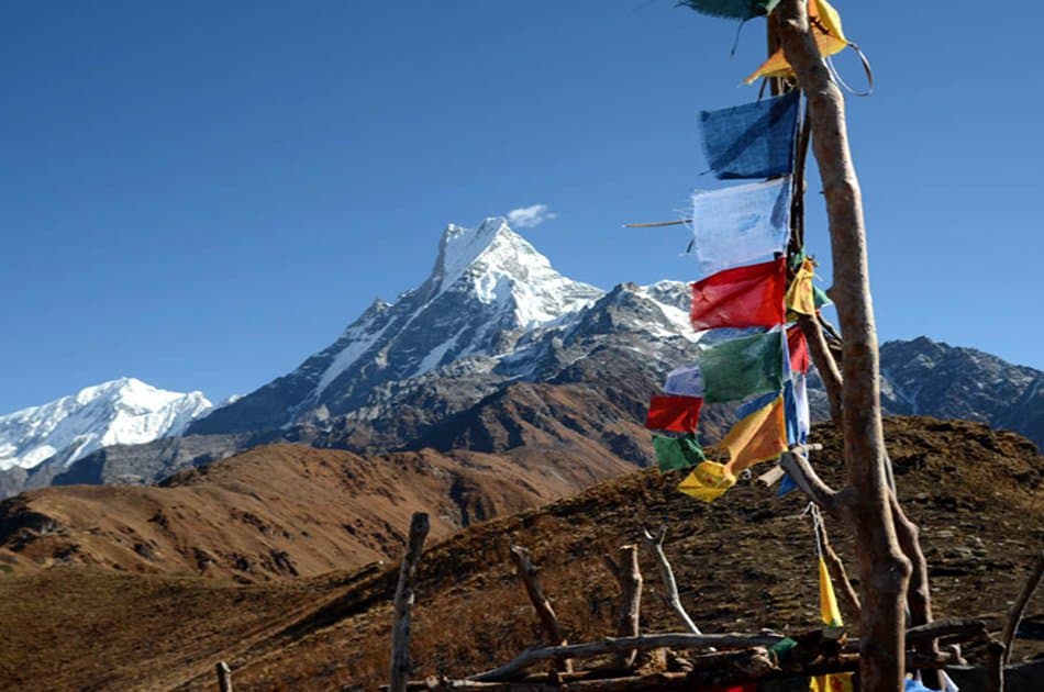 8 Day Mardi Himal Trek
