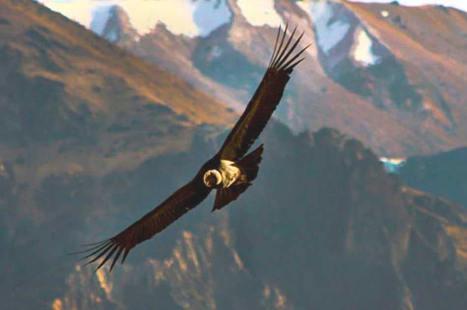 Chonta Canyon Tour - Private Service