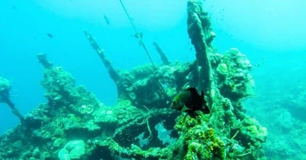 Coron Tour D – Reef and Wrecks