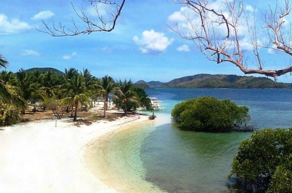 Coron Tour D – Reef and Wrecks