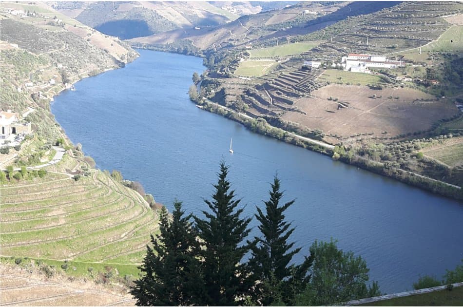 Douro Private Tour From Porto