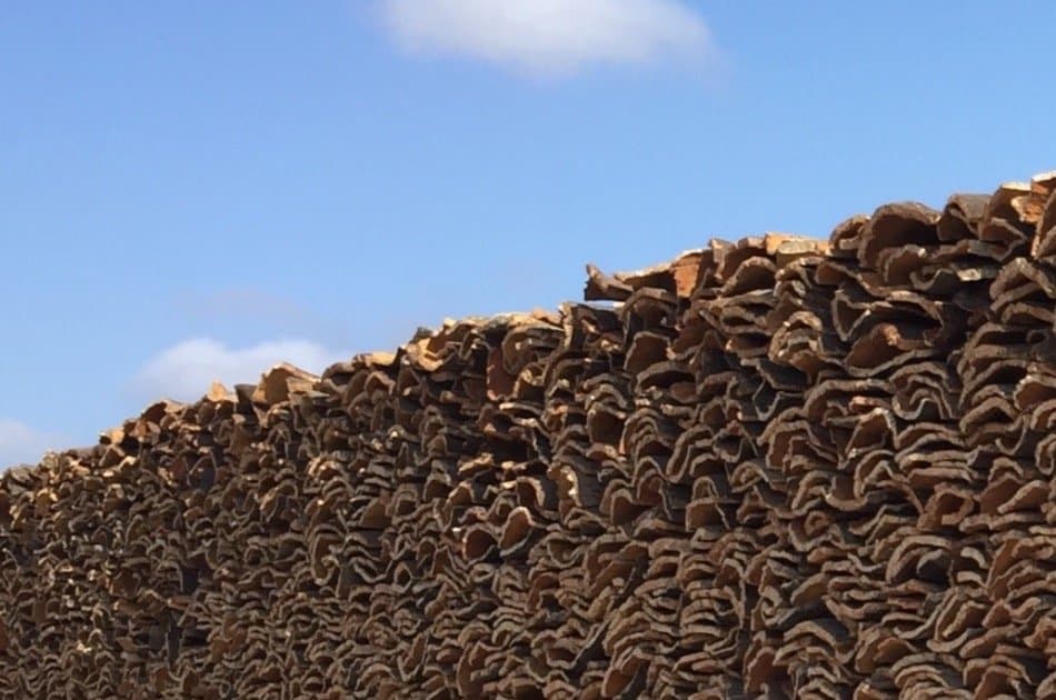 Evora Private Tour from Lisbon