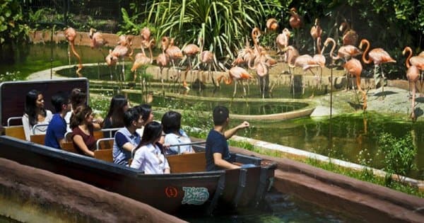 Singapore River Safari