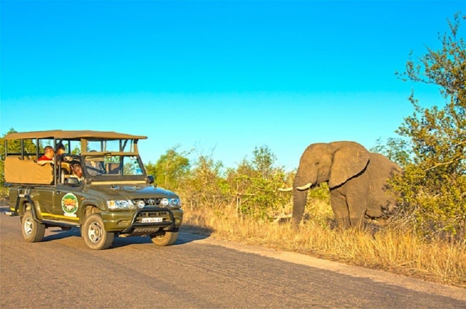 4 Day Kruger Safari