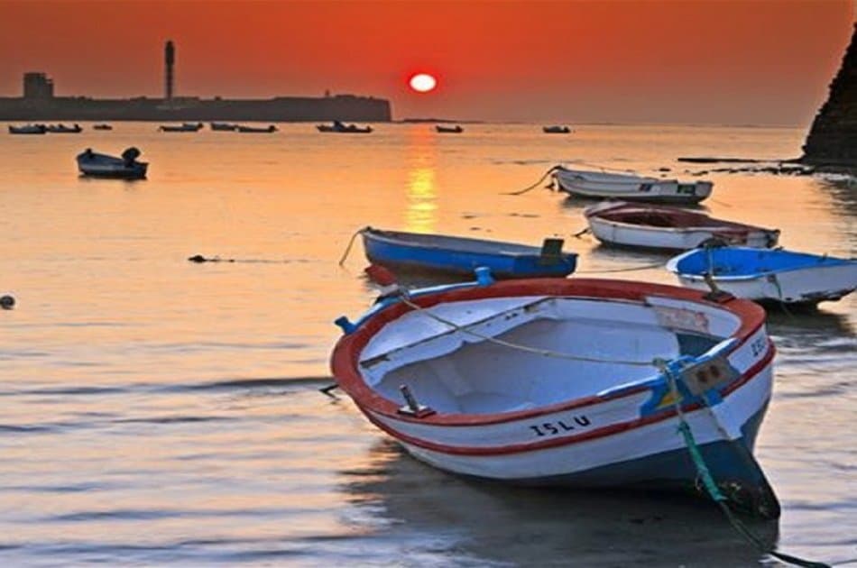 Private Cadiz Day Tour Bespoke From Seville