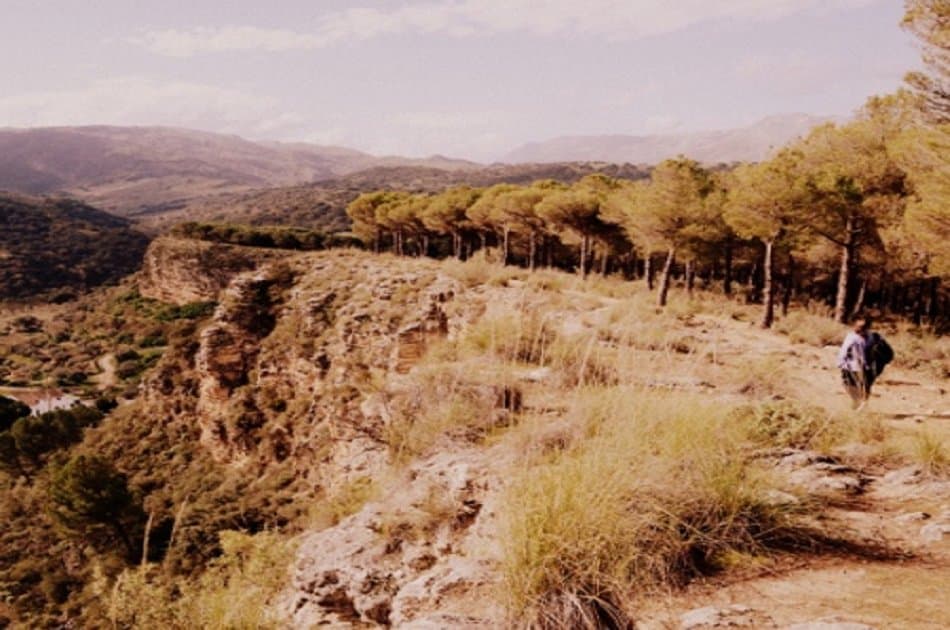 Private Ronda Day Tour From Seville