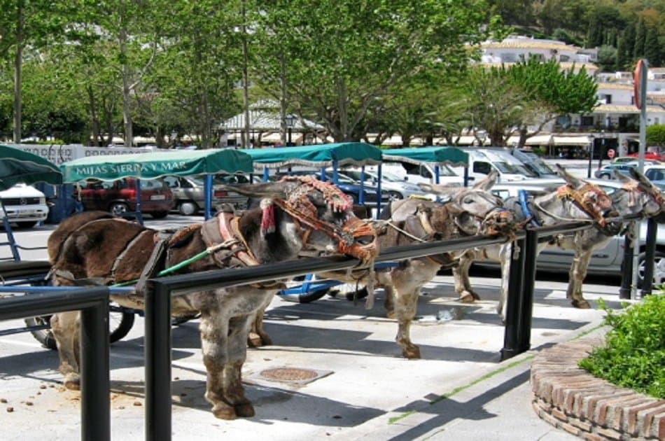 Private Tour of Mijas From Malaga