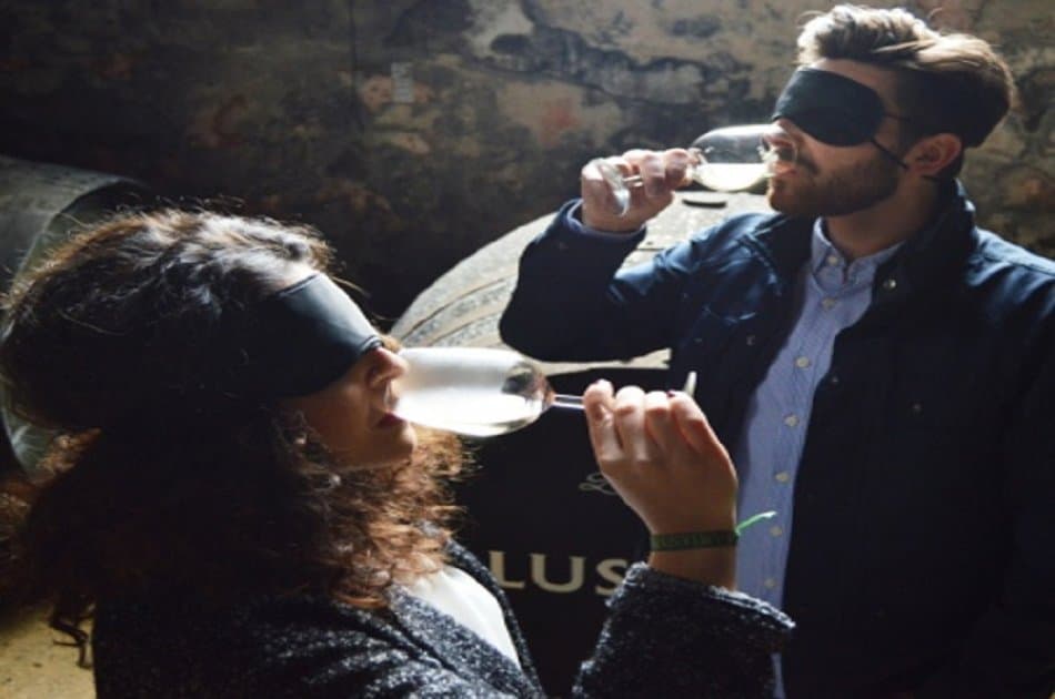 Sensory Wine Tasting in Jerez
