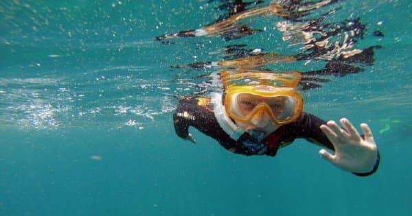 Snorkeling Tour of 50 Minutes With a Guide