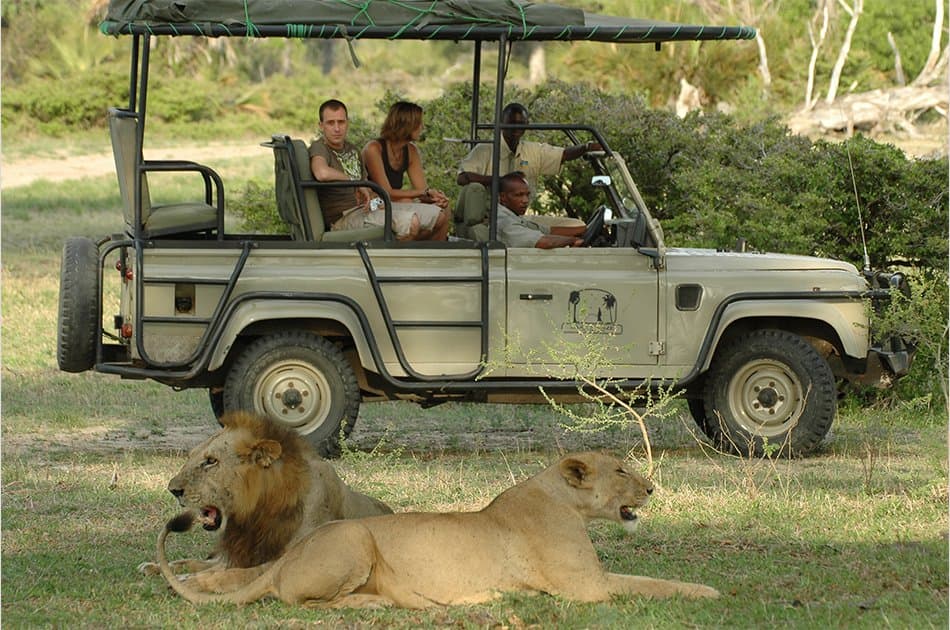1 Day Selous Game Reserve Safari Tanzania