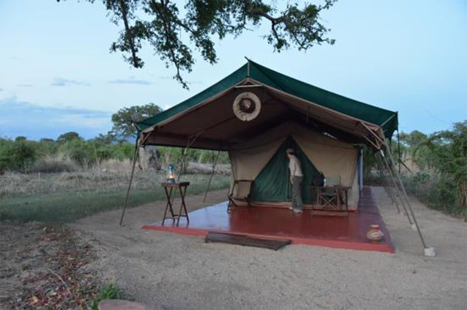 1 Day Selous Game Reserve Safari Tanzania