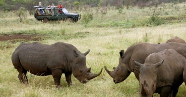 12 Days  Kenya and Tanzania Safari