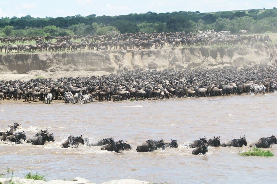 5 Day Natural Wonders of Africa Safari