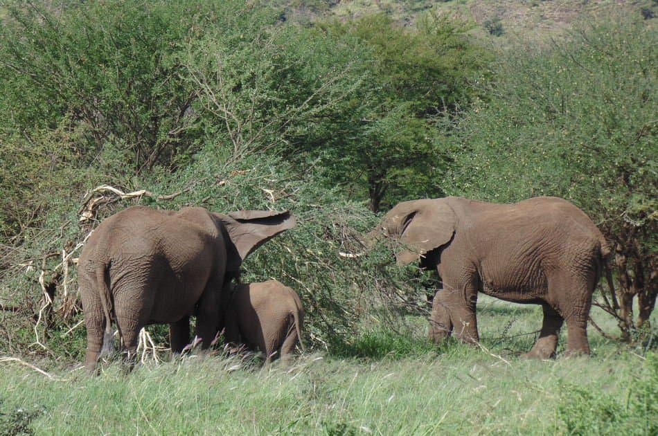 8 Days to Experience Tanzania Treasures