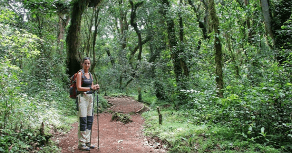 Mount Kilimanjaro Day Trek