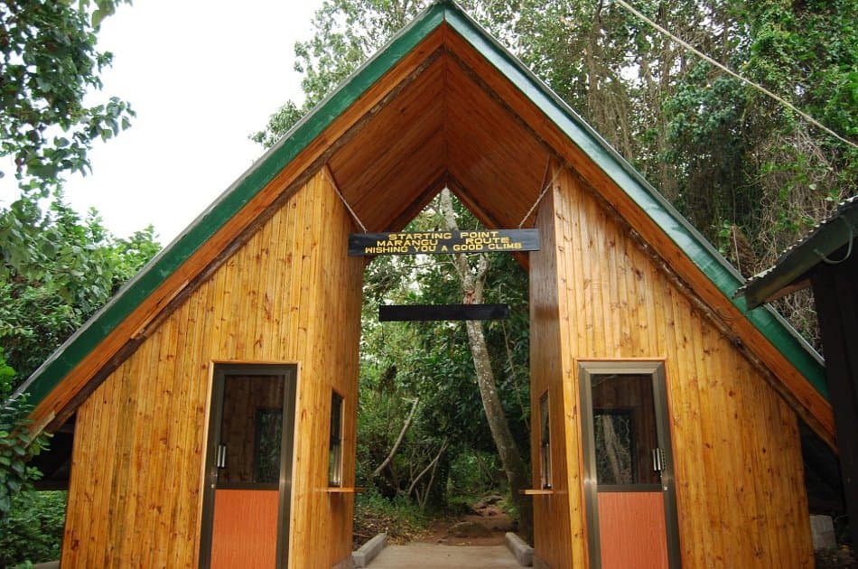 Mount Kilimanjaro Day Trek