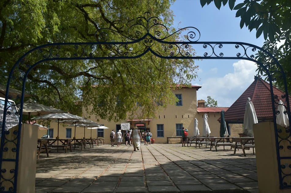 Prison Island Half Day Tour from Stone Town