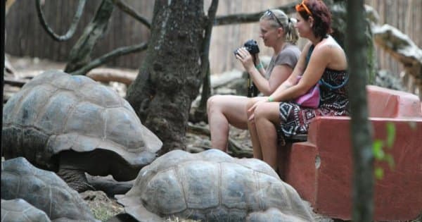 Prison Island Half Day Tour from Stone Town