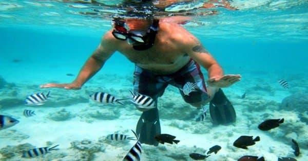 Safari Blue Boating Tour Zanzibar