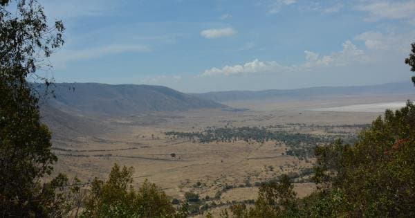 Tanzania Wilderness Experience