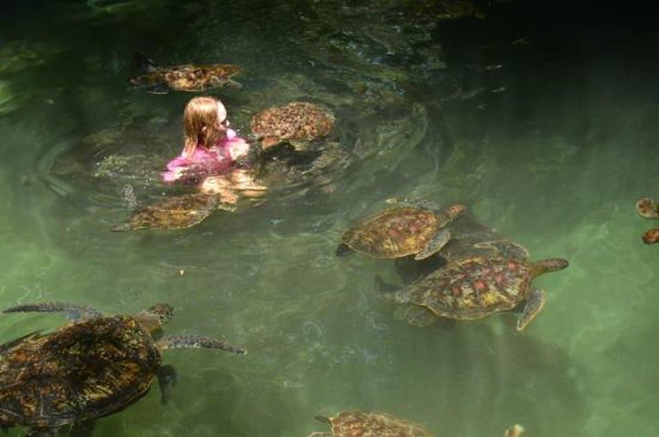 Zanzibar Private Cultural Tour