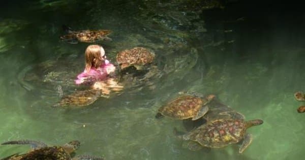 Zanzibar Private Cultural Tour