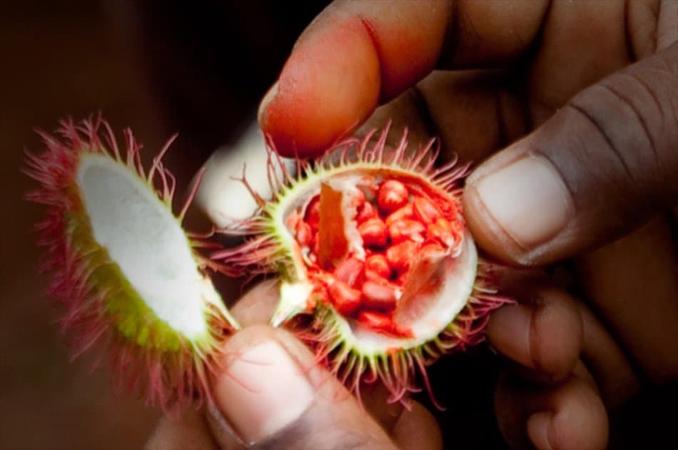 Zanzibar Three in One Excursion