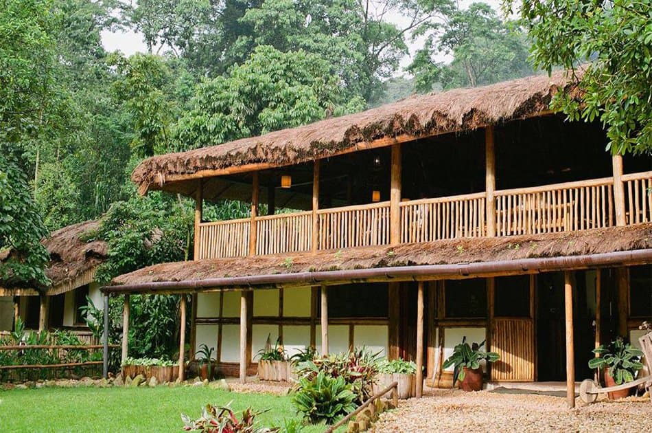 8 Days Private Tour in Uganda Forests