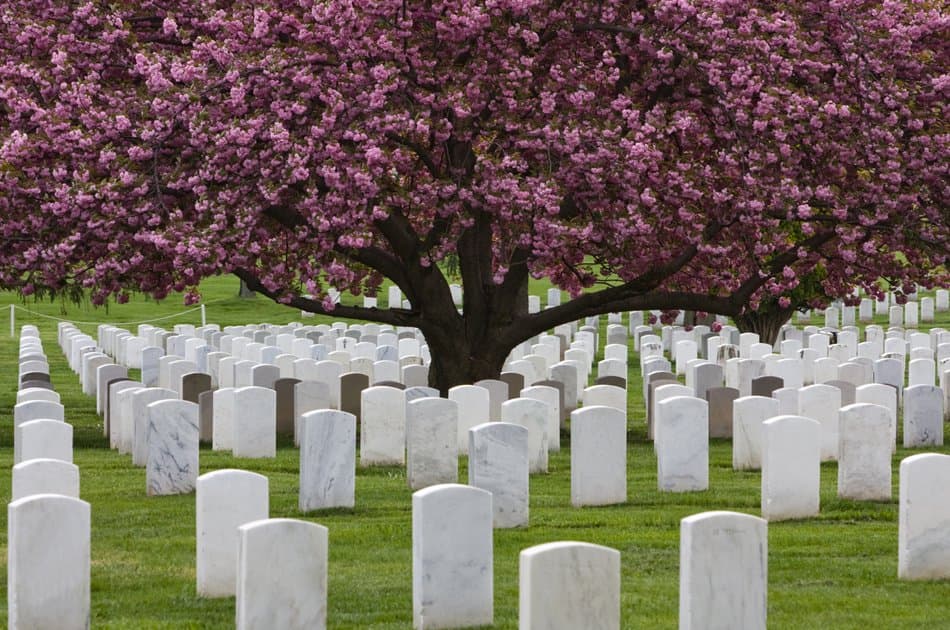 Arlington Cemetery Tour from Washington DC