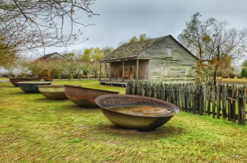 Private All Day Plantation Tour